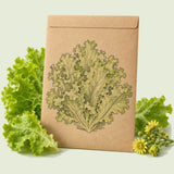 Kraft seed packet illustrated with Black Seeded Simpson Lettuce, with fresh Black Seeded Simpson Lettuce beside it