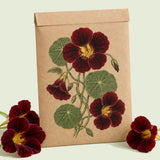 Kraft seed packet illustrated with Black Velvet Nasturtium, with fresh Black Velvet Nasturtium beside it