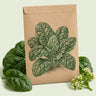 Kraft seed packet illustrated with Bloomsdale Spinach Heirloom, with fresh Bloomsdale Spinach Heirloom beside it