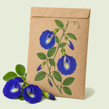 Kraft seed packet illustrated with Blue Butterfly Pea, with fresh Blue Butterfly Pea beside it