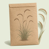 Kraft seed packet illustrated with Blue Grama Grass, with fresh Blue Grama Grass beside it