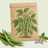Kraft seed packet illustrated with Blue Lake 274 Green Bush Bean, with fresh Blue Lake 274 Green Bush Bean beside it