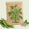 Kraft seed packet illustrated with Blue Lake 274 Green Bush Bean, with fresh Blue Lake 274 Green Bush Bean beside it