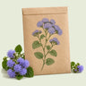 Kraft seed packet illustrated with Blue Planet Ageratum, with fresh Blue Planet Ageratum beside it