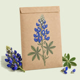 Kraft seed packet illustrated with Bluebonnet, with fresh Bluebonnet beside it