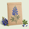 Kraft seed packet illustrated with Bluebonnet, with fresh Bluebonnet beside it
