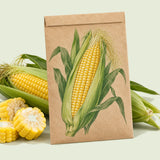 Kraft seed packet illustrated with Bodacious Sweet Corn, with fresh Bodacious Sweet Corn beside it