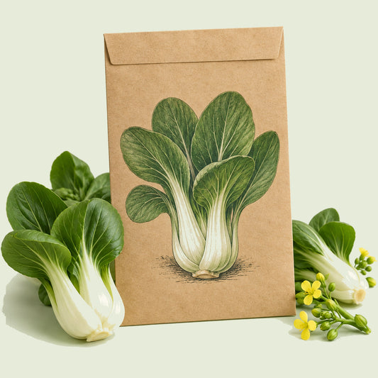 Kraft seed packet illustrated with Bok Choy Choko, with fresh Bok Choy Choko beside it