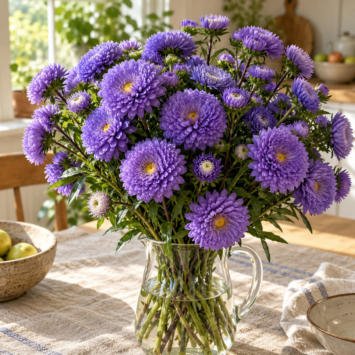Bonita Top Blue Aster Seeds harvest up close