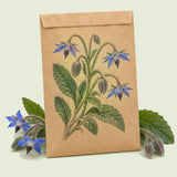 Kraft seed packet illustrated with Borage Blue Flower Herb, with fresh Borage Blue Flower Herb beside it