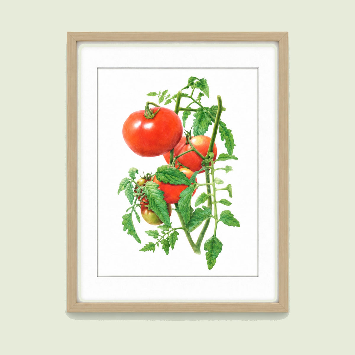 Botanical Art Prints on a soft green background