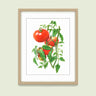 Botanical Art Prints on a soft green background