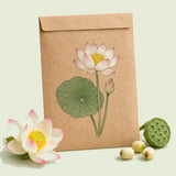 Kraft seed packet illustrated with Bowl Lotus, with fresh Bowl Lotus beside it