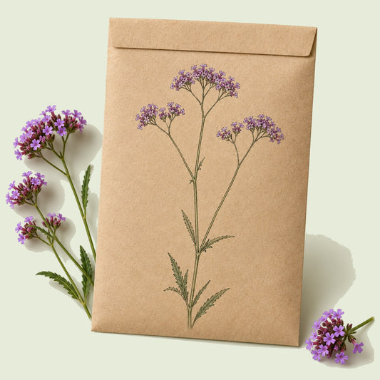 Kraft seed packet illustrated with Brazilian Vervain Verbena, with fresh Brazilian Vervain Verbena beside it