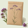 Kraft seed packet illustrated with Brazilian Vervain Verbena, with fresh Brazilian Vervain Verbena beside it