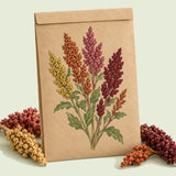 Kraft seed packet illustrated with Brightest Brilliant Rainbow Quinoa, with fresh Brightest Brilliant Rainbow Quinoa beside it