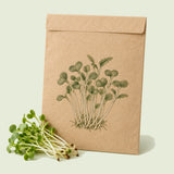 Kraft seed packet illustrated with Broccoli Sprouts, with fresh Broccoli Sprouts beside it