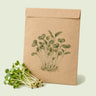 Kraft seed packet illustrated with Broccoli Sprouts, with fresh Broccoli Sprouts beside it