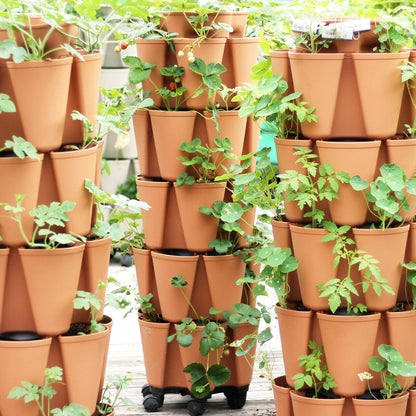 Product image of five tier vertical planter