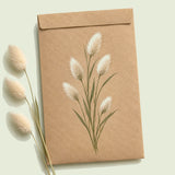 Kraft seed packet illustrated with Bunny Tails Grass, with fresh Bunny Tails Grass beside it