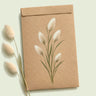 Kraft seed packet illustrated with Bunny Tails Grass, with fresh Bunny Tails Grass beside it