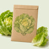 Kraft seed packet illustrated with Buttercrunch Butterhead Lettuce, with fresh Buttercrunch Butterhead Lettuce beside it