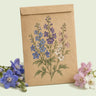 Kraft seed packet illustrated with Butterfly Blend Delphinium, with fresh Butterfly Blend Delphinium beside it