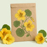 Kraft seed packet illustrated with Butterscotch Nasturtium Flower, with fresh Butterscotch Nasturtium Flower beside it