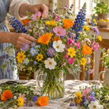 California Color Flower Mix Seeds harvest up close