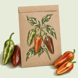 Kraft seed packet illustrated with Candy Cane Chocolate Cherry Sweet Pepper, with fresh Candy Cane Chocolate Cherry Sweet Pepper beside it