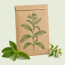 Kraft seed packet illustrated with Candy Stevia, with fresh Candy Stevia beside it