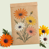 Kraft seed packet illustrated with Cape Marigold African Daisy, with fresh Cape Marigold African Daisy beside it