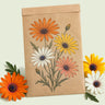 Kraft seed packet illustrated with Cape Marigold African Daisy, with fresh Cape Marigold African Daisy beside it