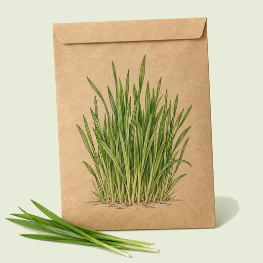 Kraft seed packet illustrated with Cat Grass Indoor Growing, with fresh Cat Grass Indoor Growing beside it