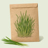 Kraft seed packet illustrated with Cat Grass Indoor Growing, with fresh Cat Grass Indoor Growing beside it