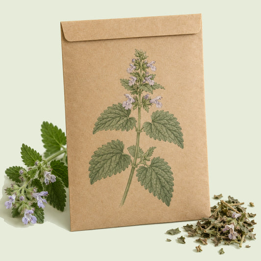 Kraft seed packet illustrated with Catnip Herb, with fresh Catnip Herb beside it