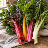 Celebration Swiss Chard Seeds harvest up close