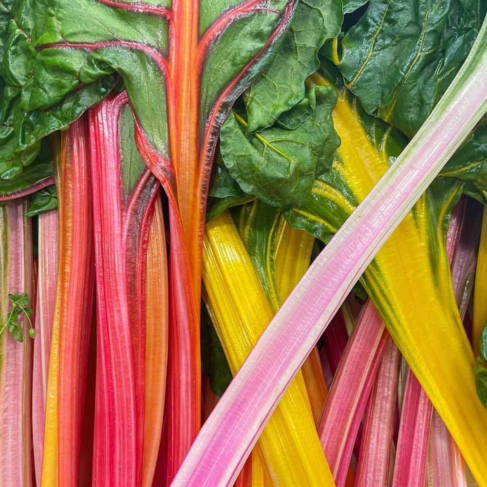 Celebration Swiss Chard seed packet