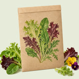 Kraft seed packet illustrated with Chef's Medley Mesclun Lettuce, with fresh Chef's Medley Mesclun Lettuce beside it
