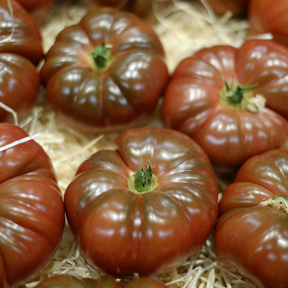 Cherokee Carbon Pole Tomato seed packet