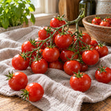 Cherry Falls Bush Cherry Tomato Seeds harvest up close
