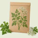 Kraft seed packet illustrated with Chervil, with fresh Chervil beside it