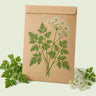 Kraft seed packet illustrated with Chervil, with fresh Chervil beside it