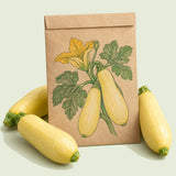 Kraft seed packet illustrated with Chiffon Summer Squash, with fresh Chiffon Summer Squash beside it