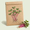 Kraft seed packet illustrated with China Rose Radish Sprouts, with fresh China Rose Radish Sprouts beside it