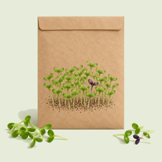 Kraft seed packet illustrated with Ciao Bella Basil Blend Microgreens, with fresh Ciao Bella Basil Blend Microgreens beside it