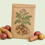 Kraft seed packet illustrated with Clancy Potato, with fresh Clancy Potato beside it
