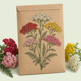 Kraft seed packet illustrated with Colorado Blend Yarrow, with fresh Colorado Blend Yarrow beside it