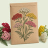 Kraft seed packet illustrated with Colorado Blend Yarrow, with fresh Colorado Blend Yarrow beside it