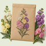 Kraft seed packet illustrated with Column Blend Stock, with fresh Column Blend Stock beside it